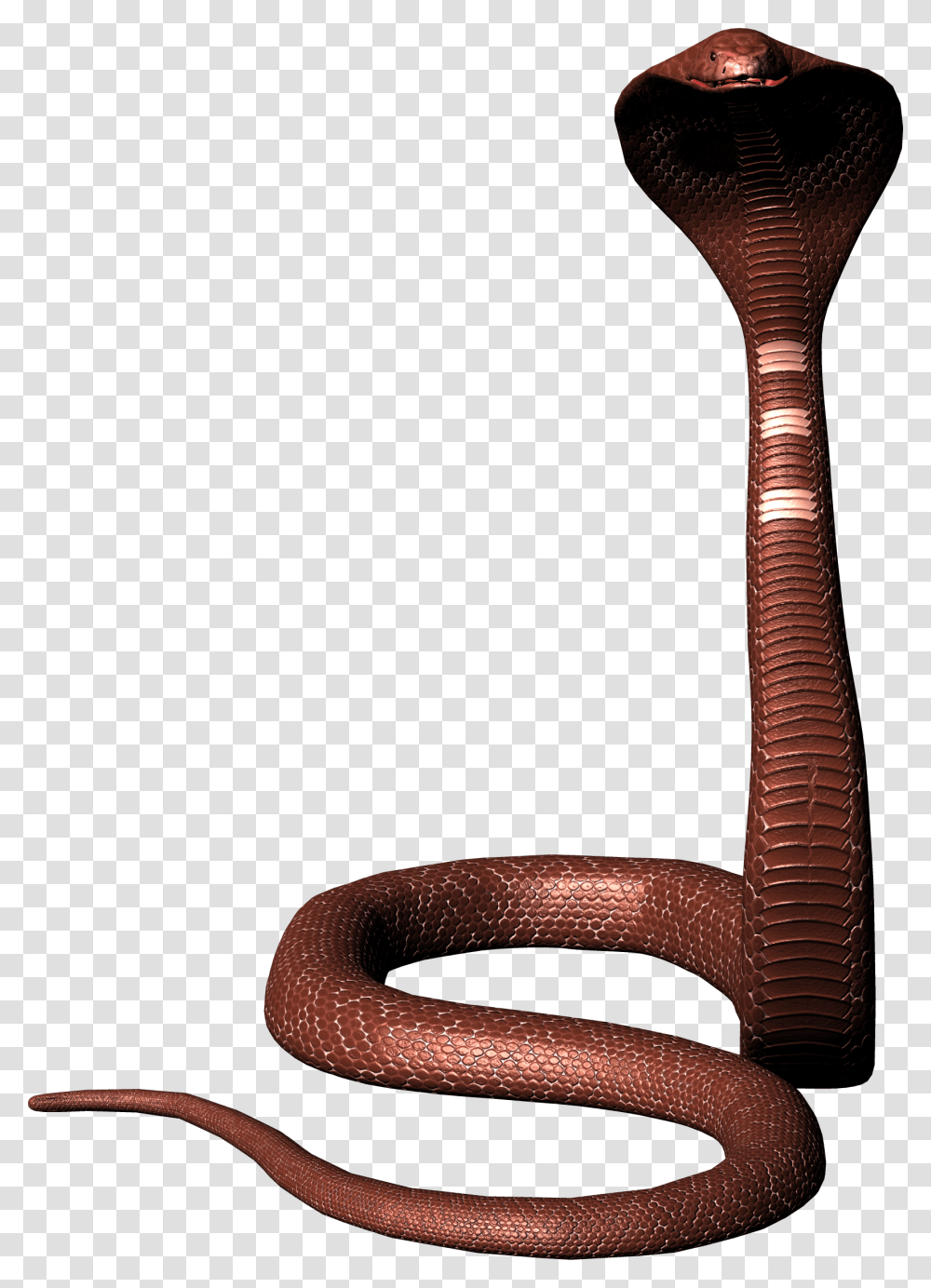 Snake, Animals, Hammer, Tool, Bronze Transparent Png