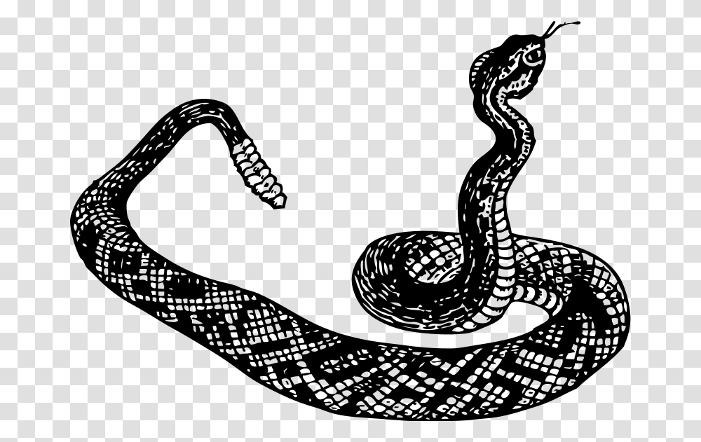 Snake Black And White, Gray, World Of Warcraft Transparent Png