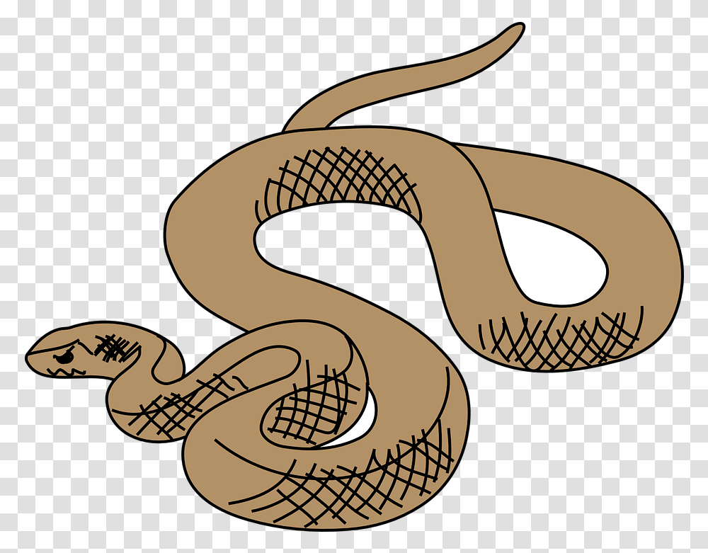 Snake Brown Reptile Free Vector Graphic On Pixabay Brown Tree Snake Drawing, Animal, Cobra Transparent Png