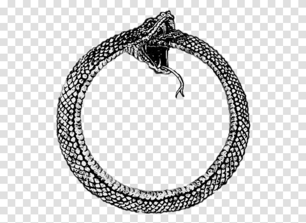 Snake Circle Snake Circle, Rug, Chain, Accessories, Accessory Transparent Png