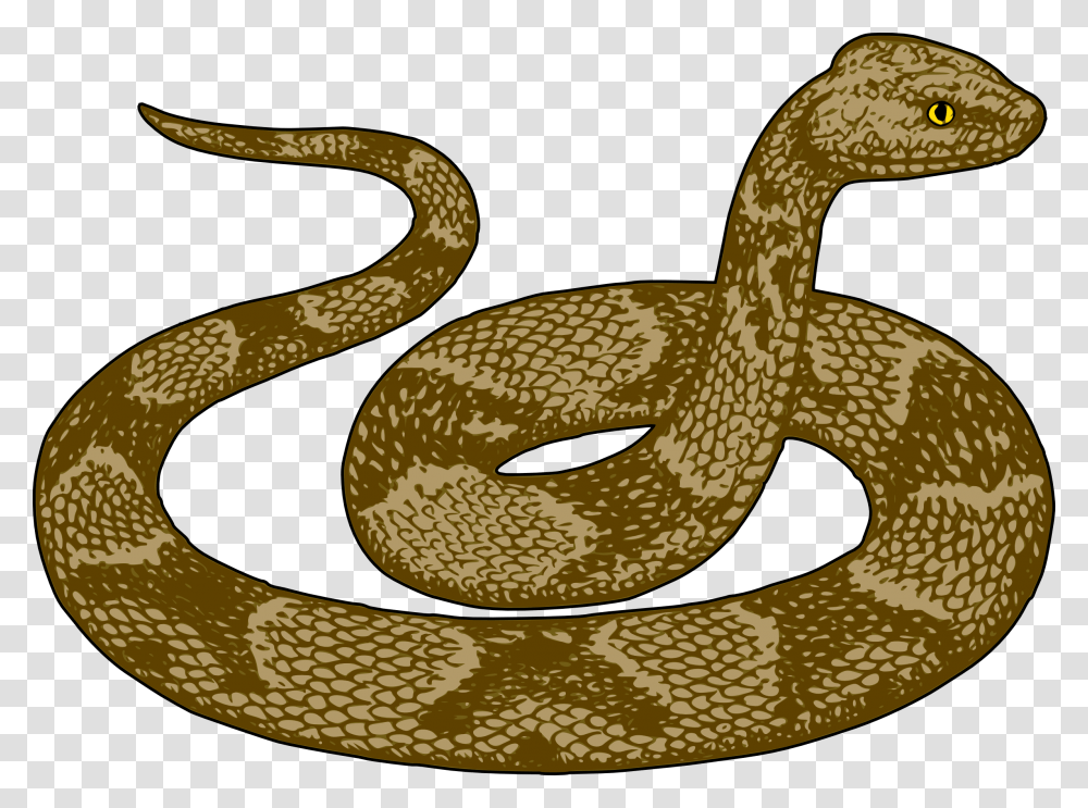 Snake Clip Art Adiestradorescastro Com Clipart Desert Snake Clipart, Reptile, Animal, King Snake, Cobra Transparent Png