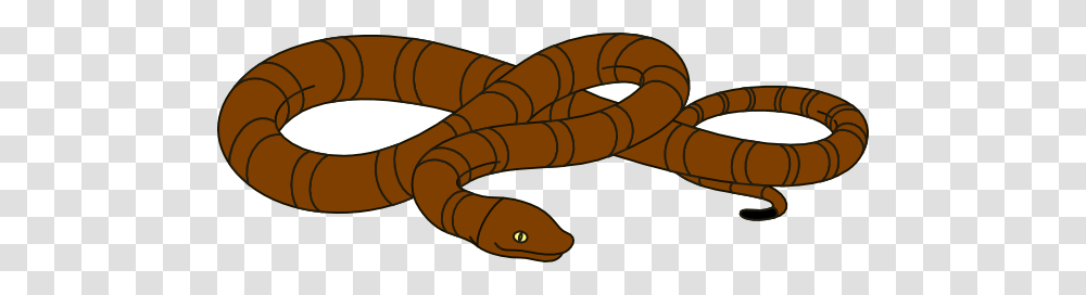 Snake Clip Art For Web, Animal, Label, Eel Transparent Png