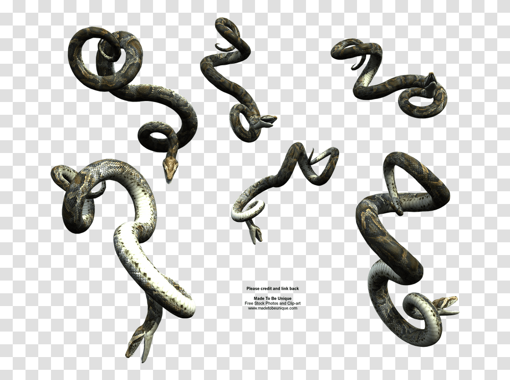 Snake Clipart Realistic Vijay Mahar Snake, Chain, Animal, Spiral, Coil Transparent Png
