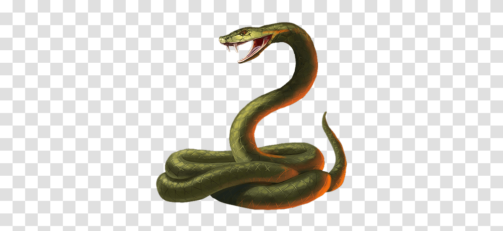 Snake Cobra, Reptile, Animal, Green Snake, Anaconda Transparent Png