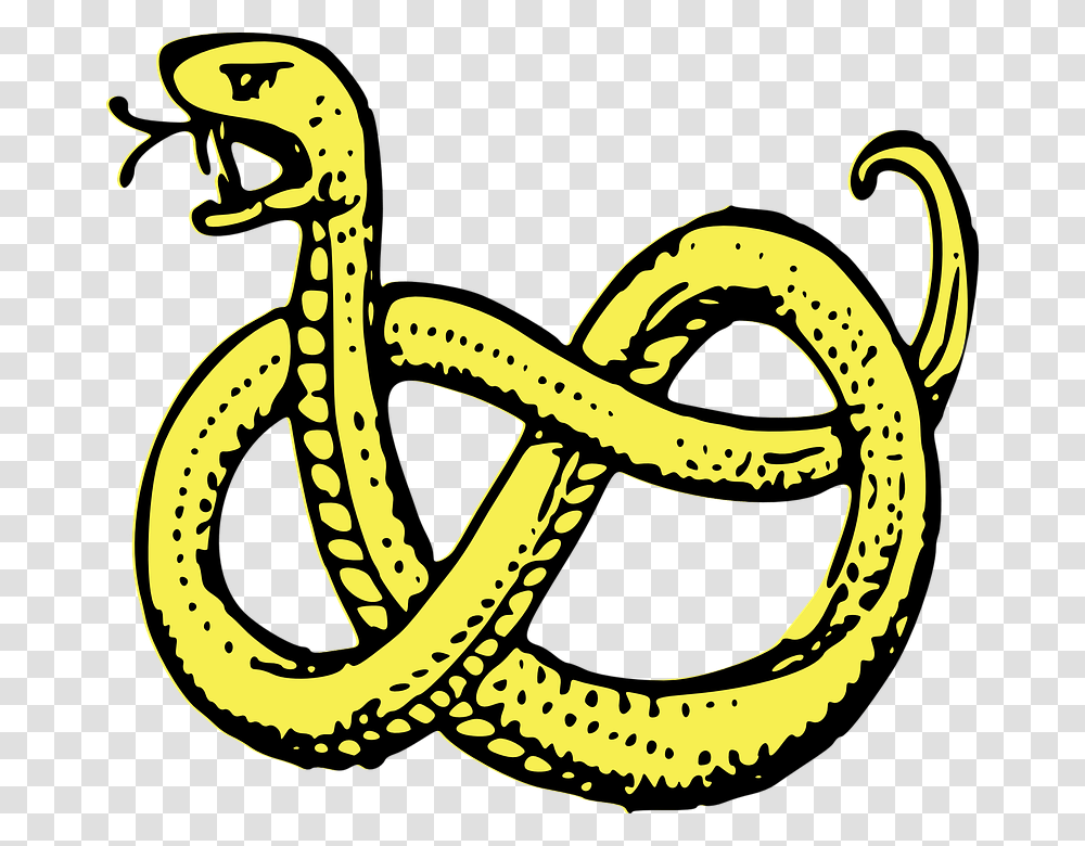 Snake Coiled Serpent Predator Isolated Drawing Coat Of Arms Snake, Knot, Reptile, Animal Transparent Png