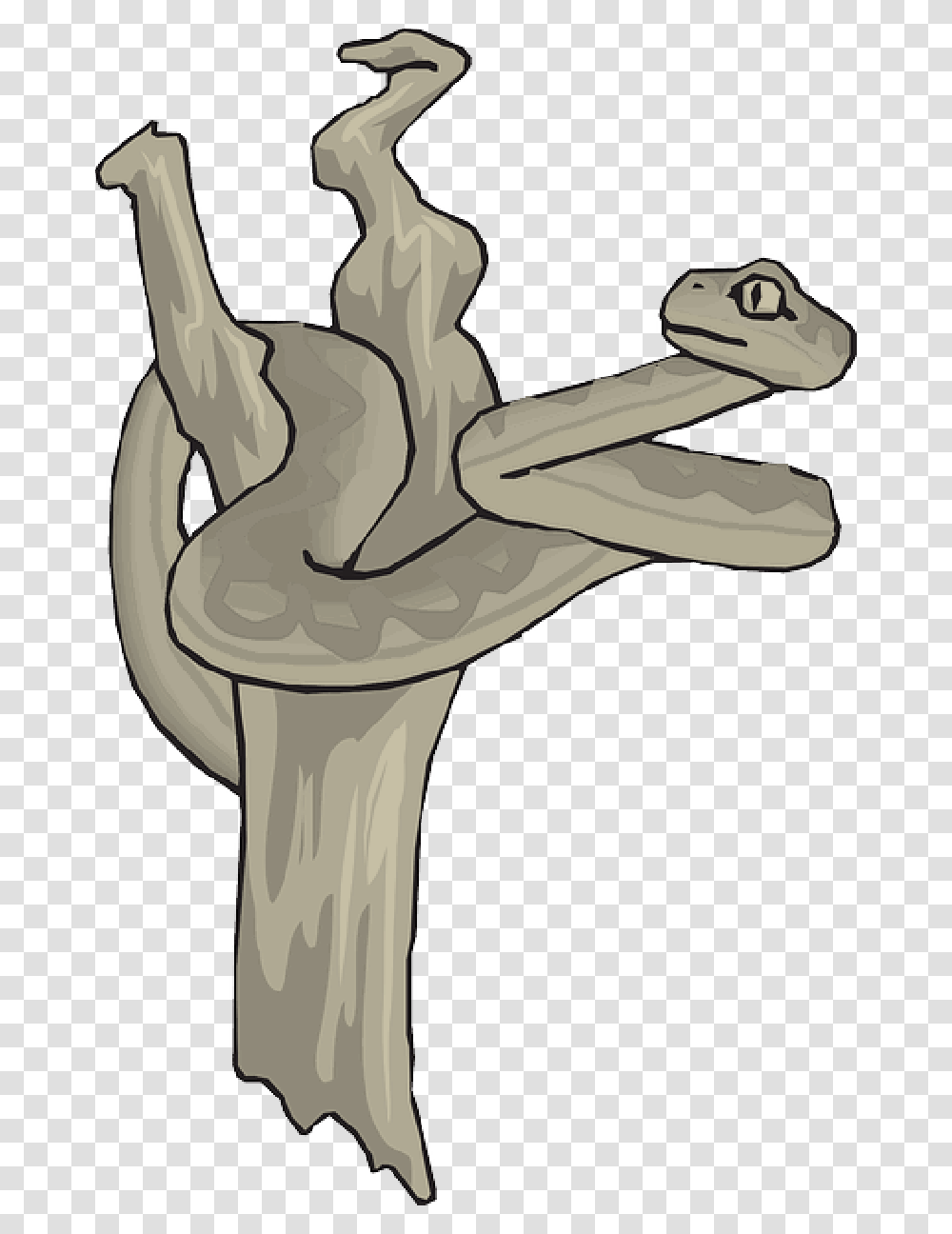 Snake Dead Tree Branch Reptile Curled Snake Transparent Png