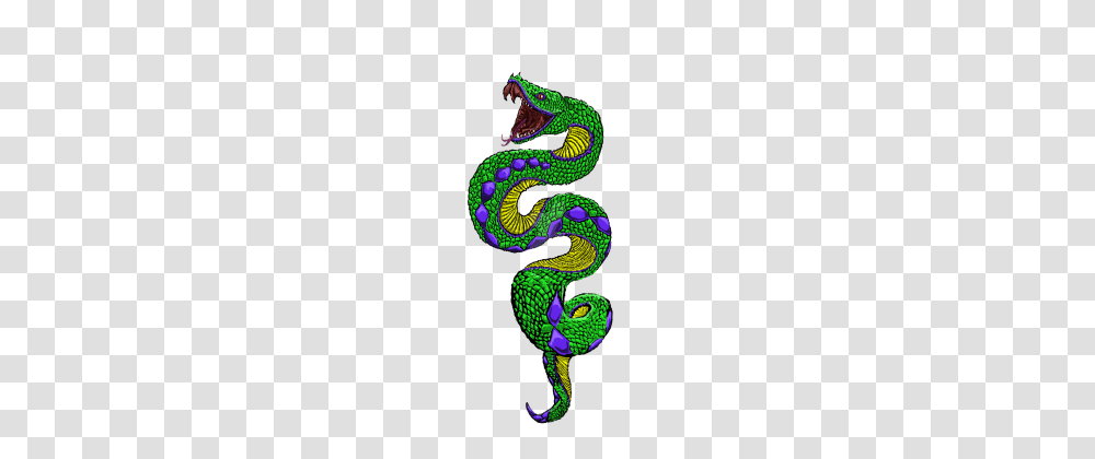 Snake, Dragon Transparent Png