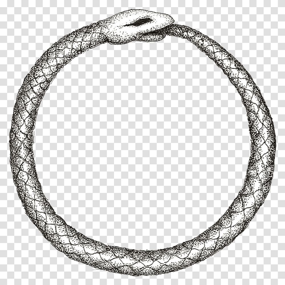 Snake Eating Its Tail, Moon, Outer Space, Night, Astronomy Transparent Png