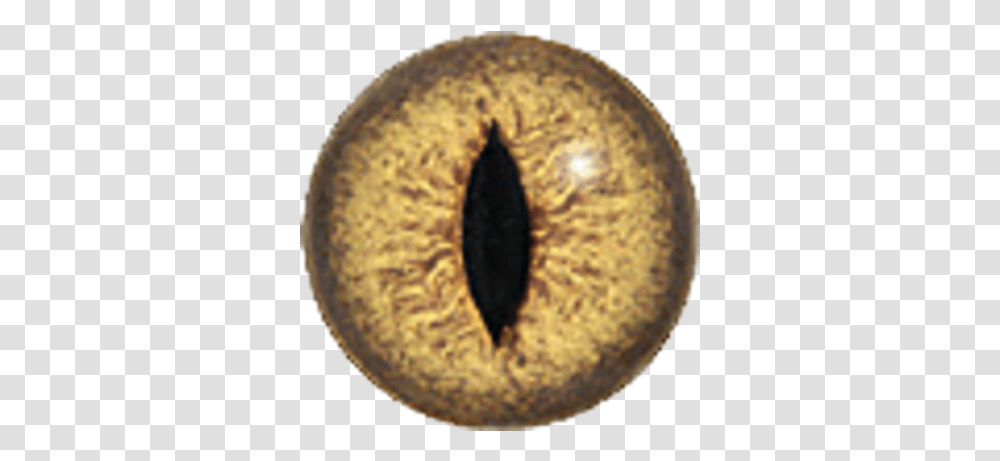 Snake Eye Image Circle, Fungus, Bronze, Face, Coin Transparent Png