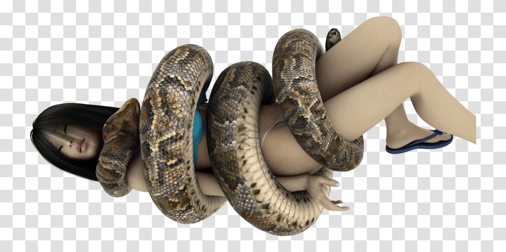 Snake Giant Anaconda Digital Art Anaconda Snake, Reptile, Animal, Rock Python, Person Transparent Png