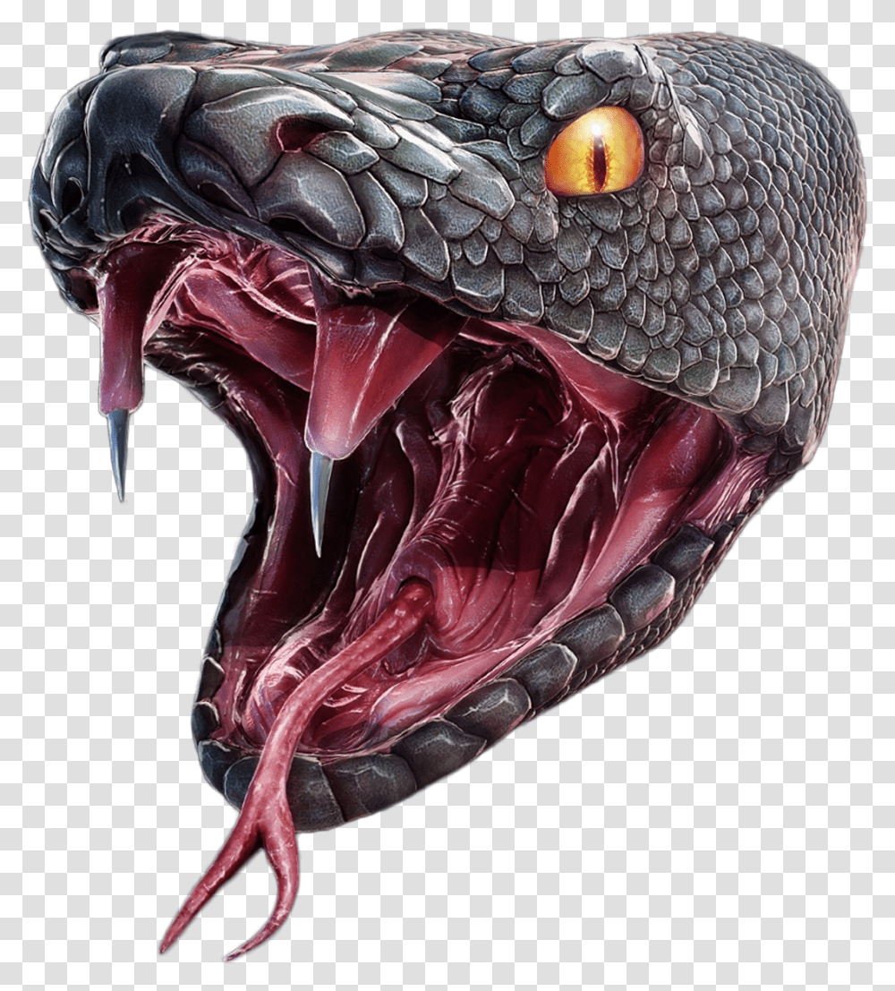 Snake Head Anaconda, Reptile, Animal, Mouth, Lip Transparent Png