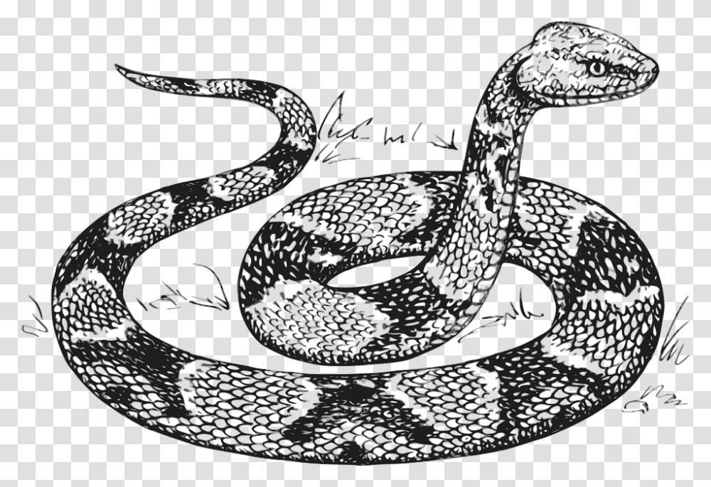 Snake Head Raised Scales Copperhead Serpent Coloring Pages Snakes, Reptile, Animal, Jewelry, Accessories Transparent Png