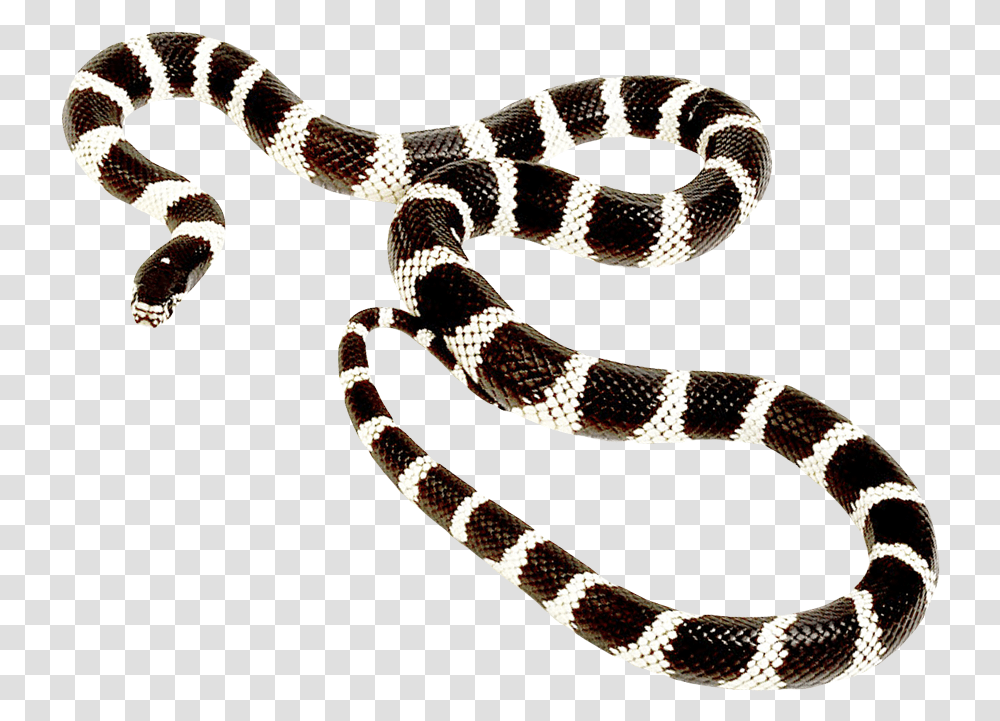 Snake Images Background Post Malone Goodbyes Album Cover, Reptile, Animal, King Snake Transparent Png