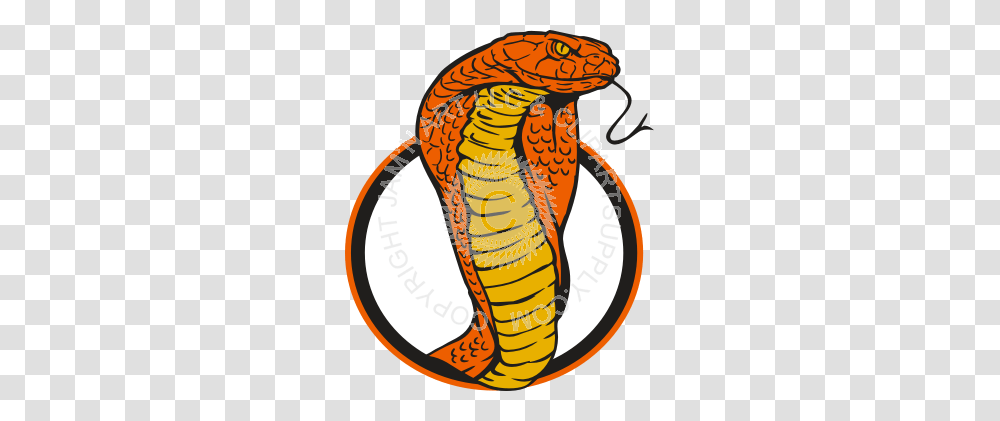Snake In Circle In Color, Cobra, Reptile, Animal Transparent Png