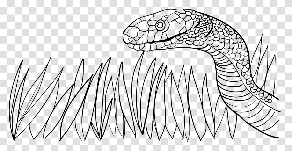 Snake In The Grass Clip Arts Grass Snake Black And White, Gray, World Of Warcraft Transparent Png