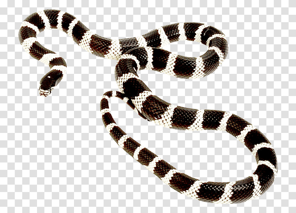 Snake Long Post Malone Goodbyes Cover, Reptile, Animal, King Snake Transparent Png