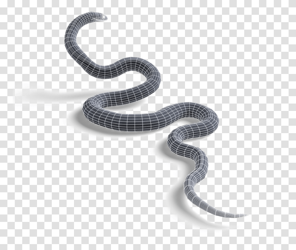 Snake On Clear Background, Animal, Reptile, Shower Faucet, Sea Life Transparent Png