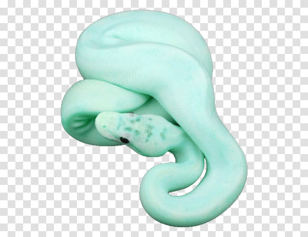 Snake Pastel Aesthetic Freetoedit Pastel Blue Snake, Reptile, Animal Transparent Png