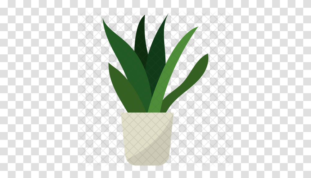 Snake Plant Vector Icon Plant Vector, Palm Tree, Arecaceae, Aloe Transparent Png