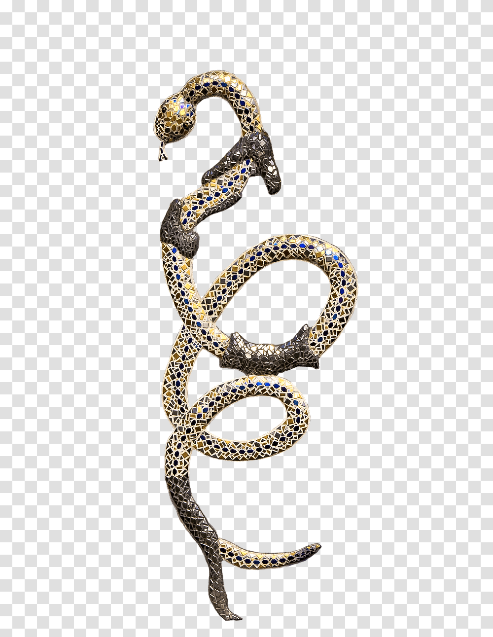 Snake Shedding Skin Gold Snake, Jewelry, Accessories, Accessory, Diamond Transparent Png