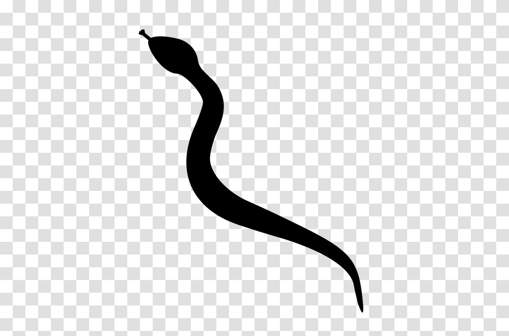 Snake Silhouette, Gray, World Of Warcraft Transparent Png
