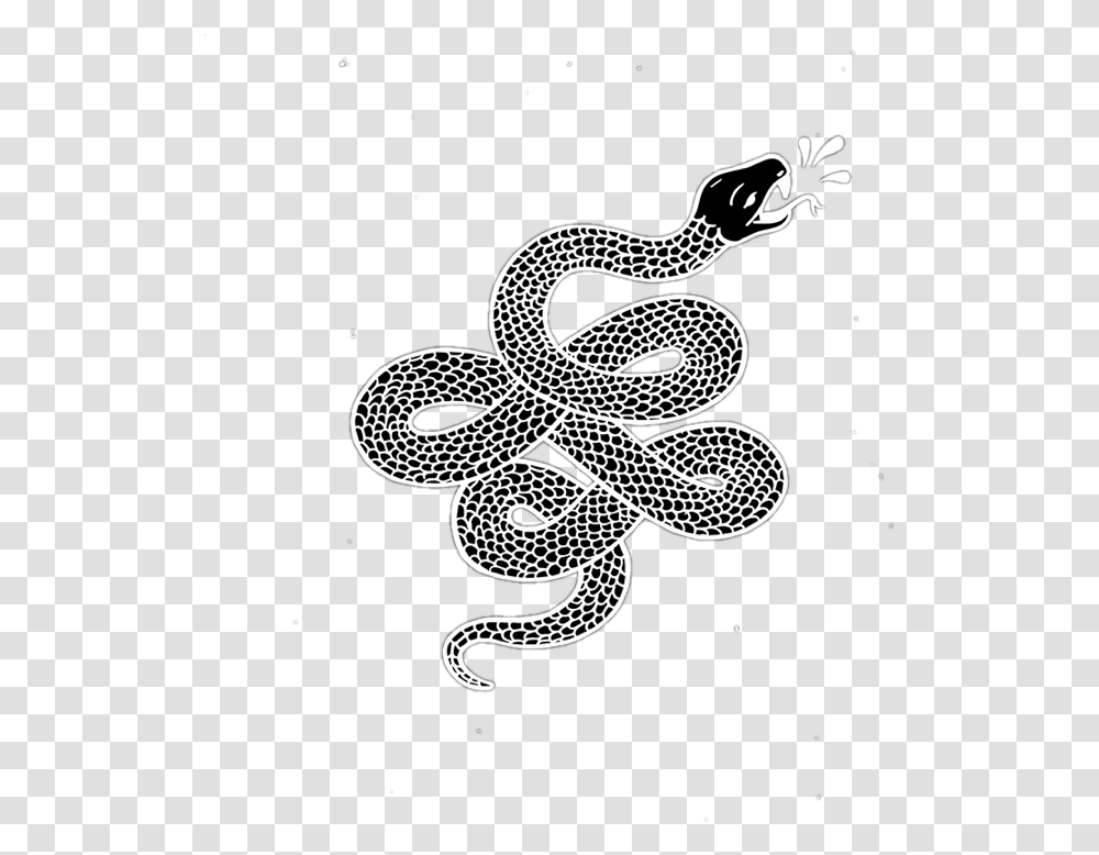 Snake Snake With No Background, Animal, Stencil, Pattern Transparent Png