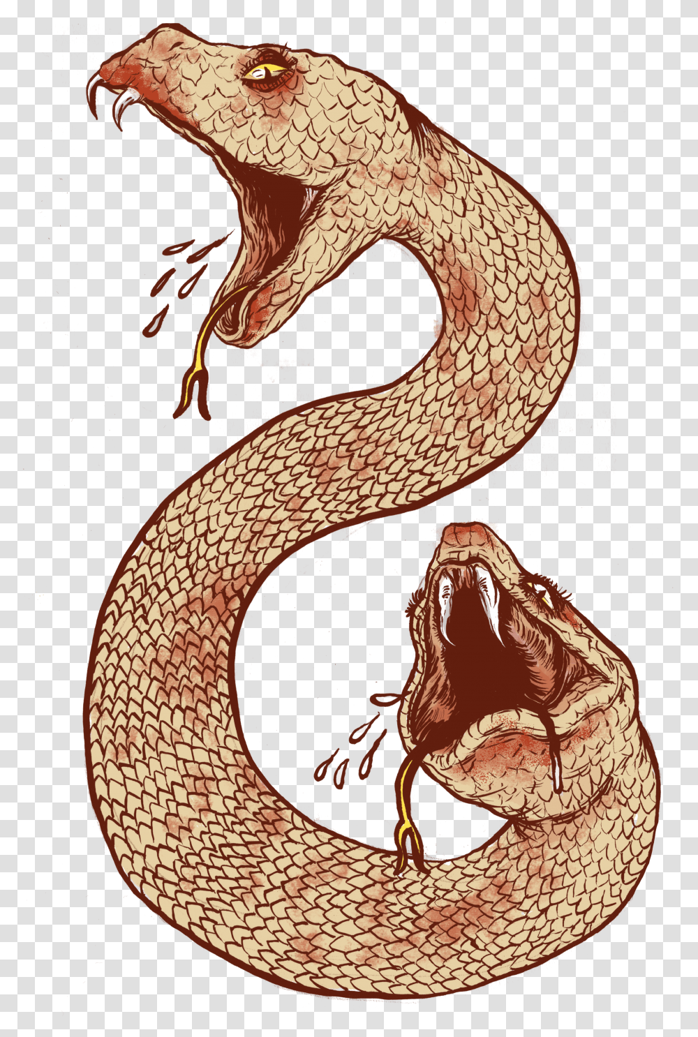 Snake Tattoo Clipart Ancient Mythical Creature Amphisbaena Transparent Png