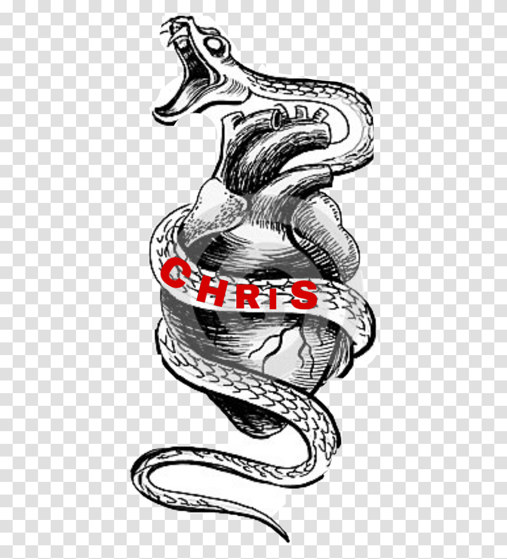 Snake Tattoo Heart Chris Sticker By Leahia Marie Scary Drawing Of Snake, Animal, Bird, Dodo, Vulture Transparent Png