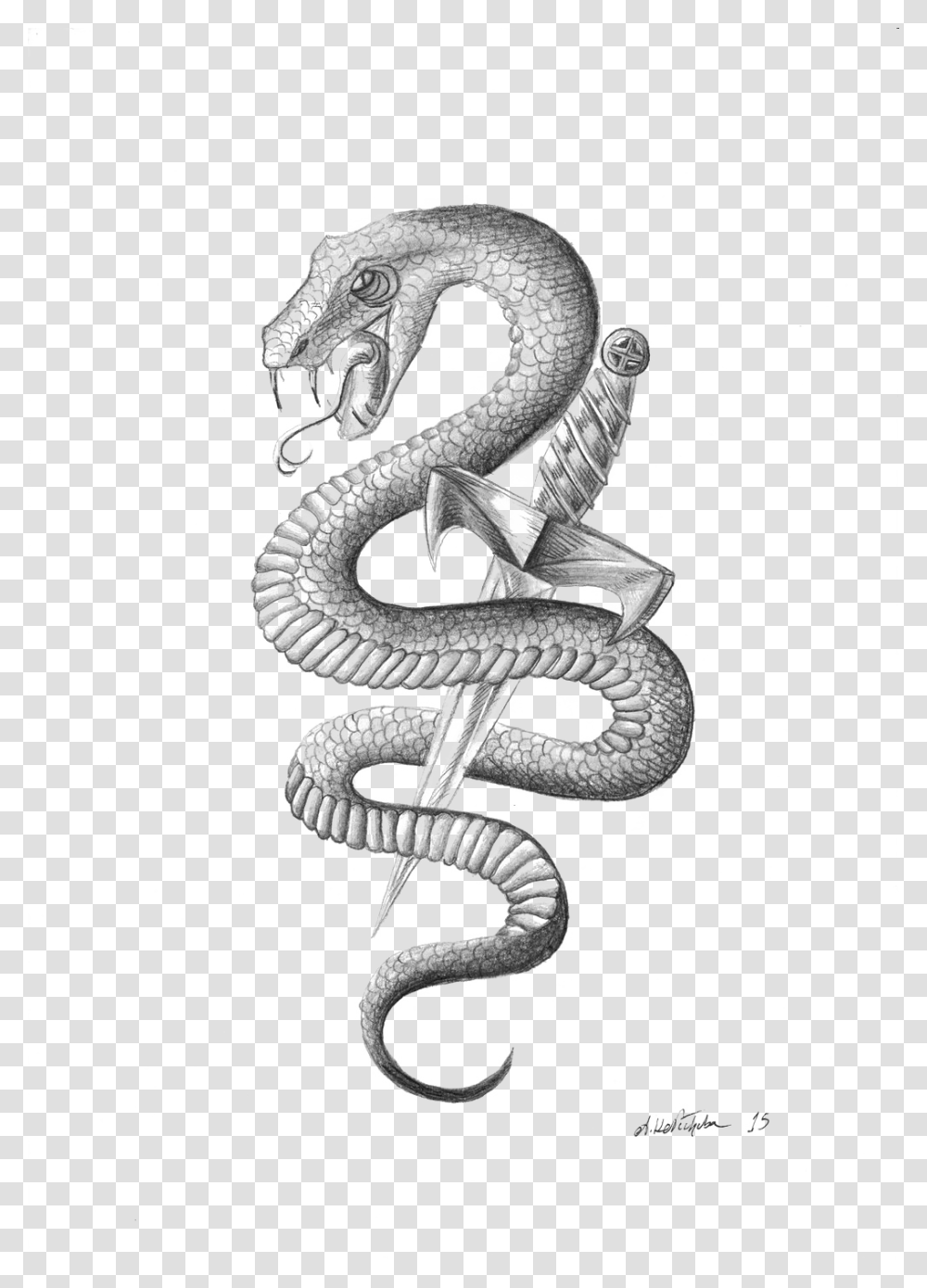 Snake Tattoo, Reptile, Animal, Drawing Transparent Png