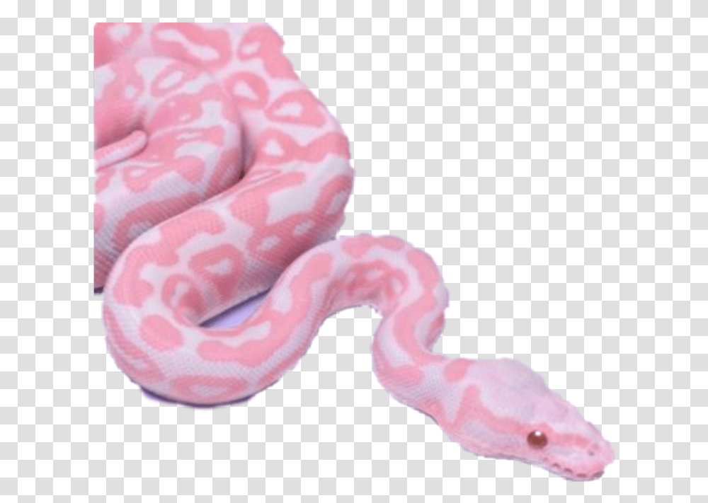 Snake Vaporwave Aesthetic Aestheticvaporwave Snakes In Pink Colour, Reptile, Animal, King Snake, Anaconda Transparent Png