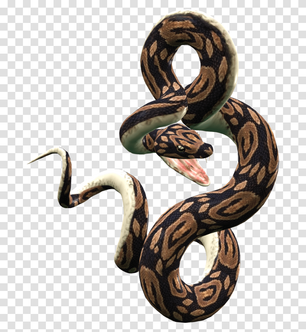 Snake Vector Clipart, Reptile, Animal, Anaconda, Rock Python Transparent Png