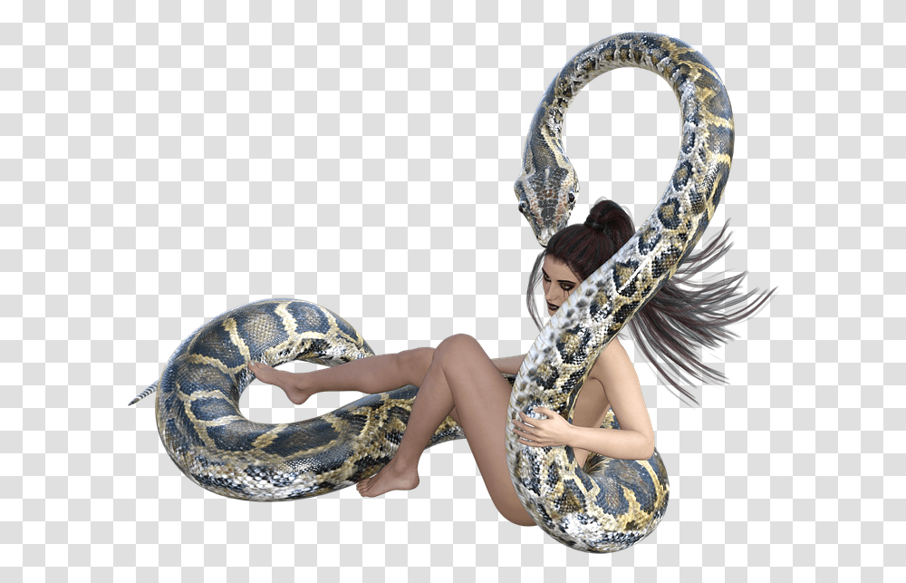 Snake Woman Anaconda Position, Reptile, Animal, Person, Human Transparent Png