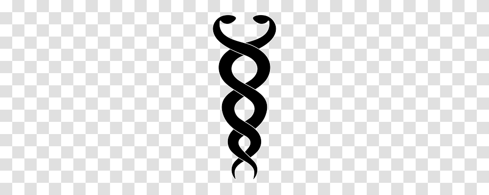 Snakes Text, Alphabet, Number Transparent Png