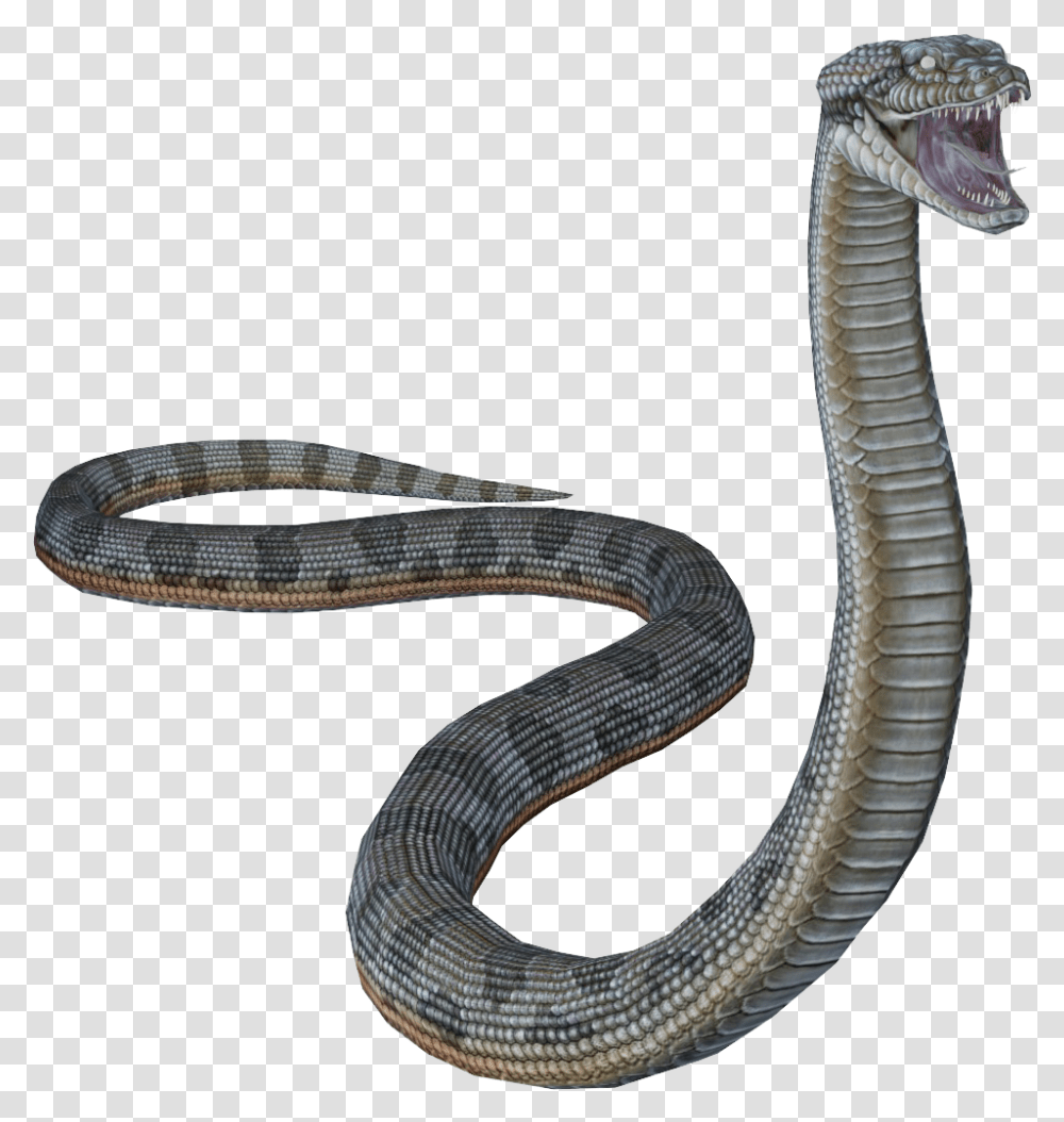 Snakes Portable Network Graphics, Reptile, Animal, Sea Snake, Sea Life Transparent Png