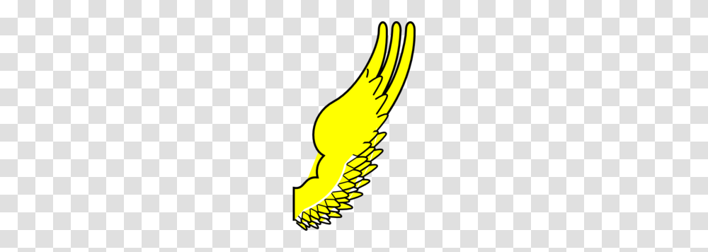 Snap Golden Snitch Wings Clip Art, Animal, Bird, Finch, Canary Transparent Png