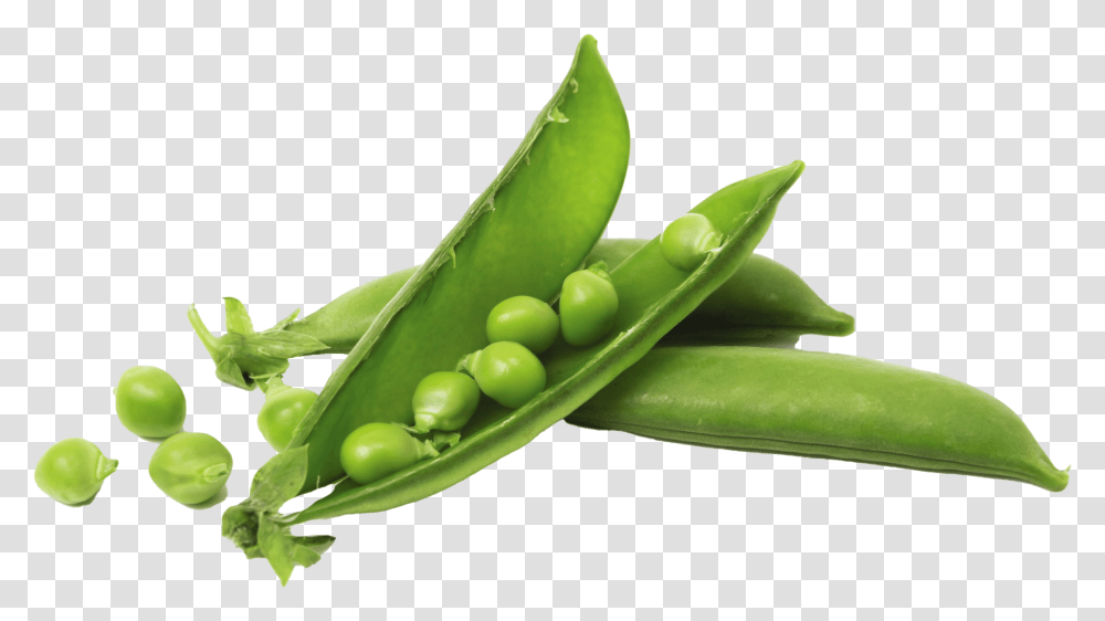 Snap Pea, Plant, Vegetable, Food Transparent Png