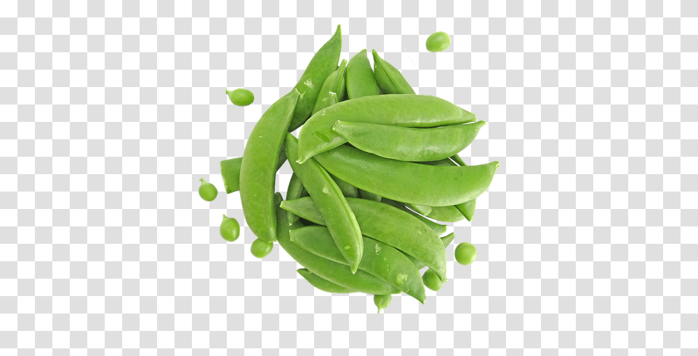 Snap Peas Peas Snap Raw Food Fresh Vegetable, Plant, Green Transparent Png