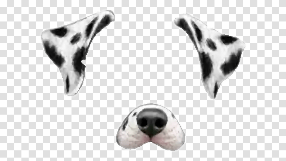 Snap Snapchat Dog Dalmata Tumblr Rose Cute Corazon Snapchat Filters Dog, Animal, Mammal, Soccer Ball, Football Transparent Png