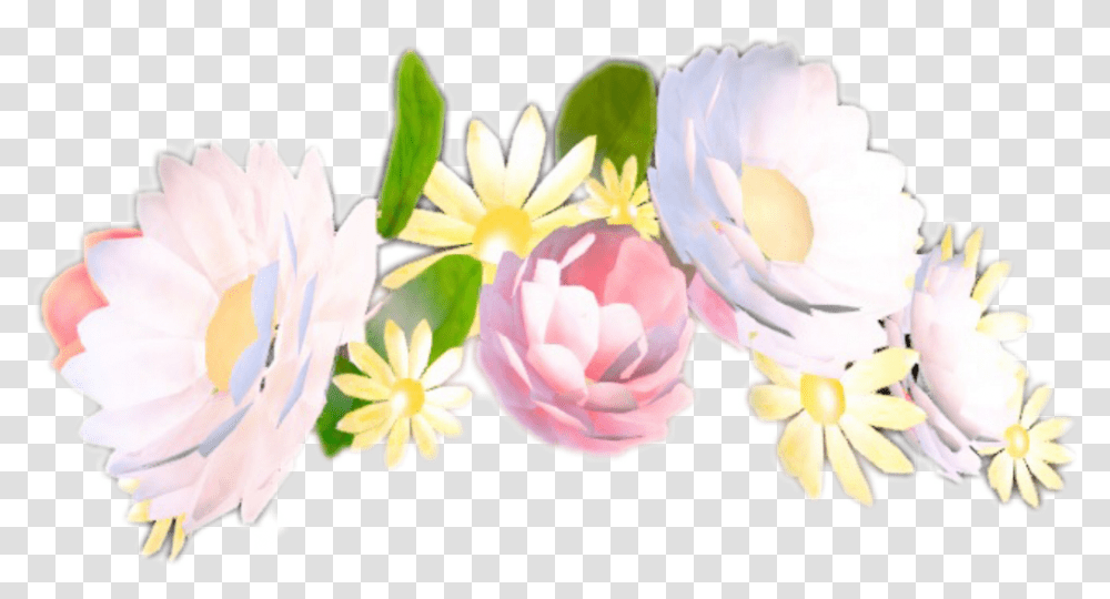 Snap Snapchat Flower Sticker By Maria Snapchat Flower Crown, Plant, Petal, Anther, Anemone Transparent Png