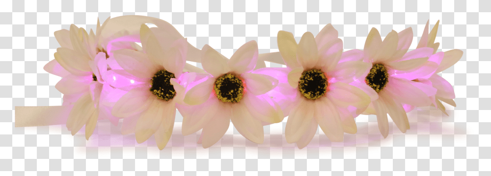 Snapchat Clipart Artificial Flower, Plant, Pollen, Blossom, Petal Transparent Png