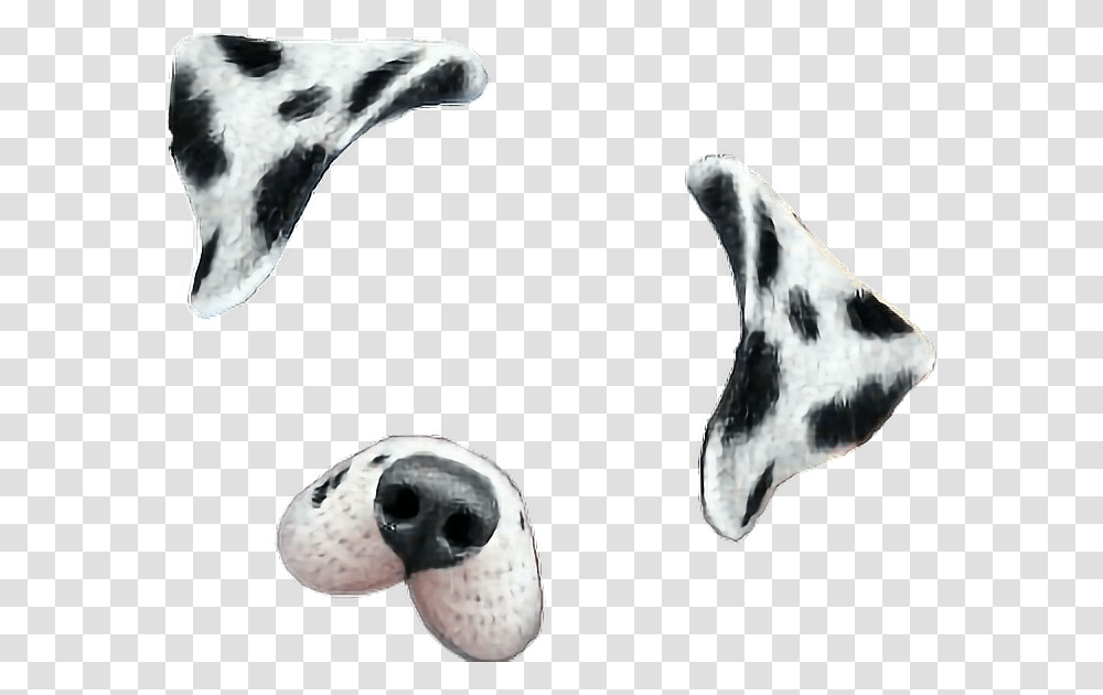Snapchat Clipart Snapchat Dog Filter, Soccer Ball, People, Animal, Bird Transparent Png