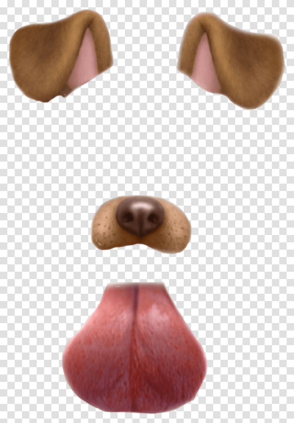 Snapchat Dog Filter Dog Freetoedit, Plant, Mouth, Animal, Teeth Transparent Png