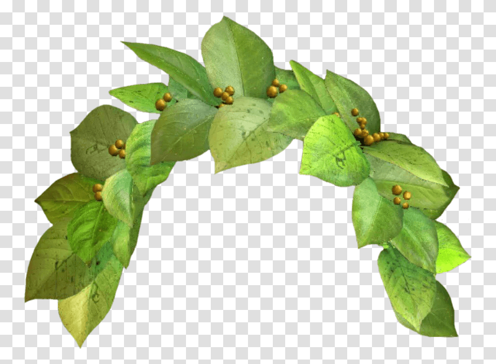 Snapchat Dog Filter Green Flower Crown, Leaf, Plant, Animal, Pollen Transparent Png