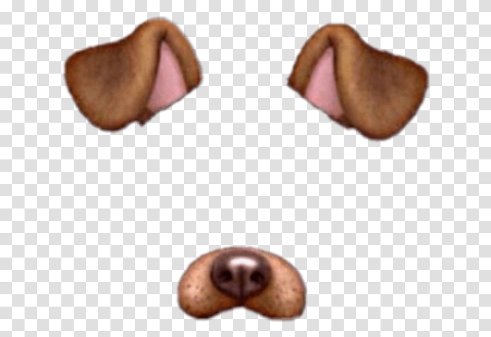 Snapchat Dog Filter, Person, Human, Animal, Clam Transparent Png