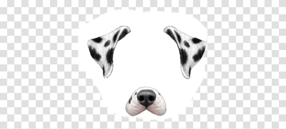 Snapchat Dog Filter, Snout, Pillow, Cushion, Pet Transparent Png