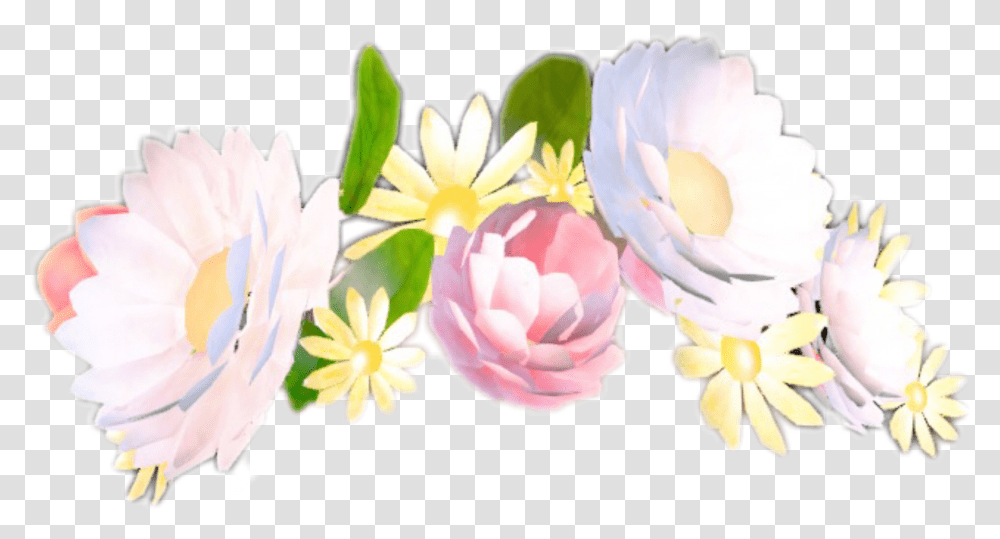 Snapchat Drawing Flower Snapchat Filters Flower Crown, Plant, Anther, Petal, Anemone Transparent Png