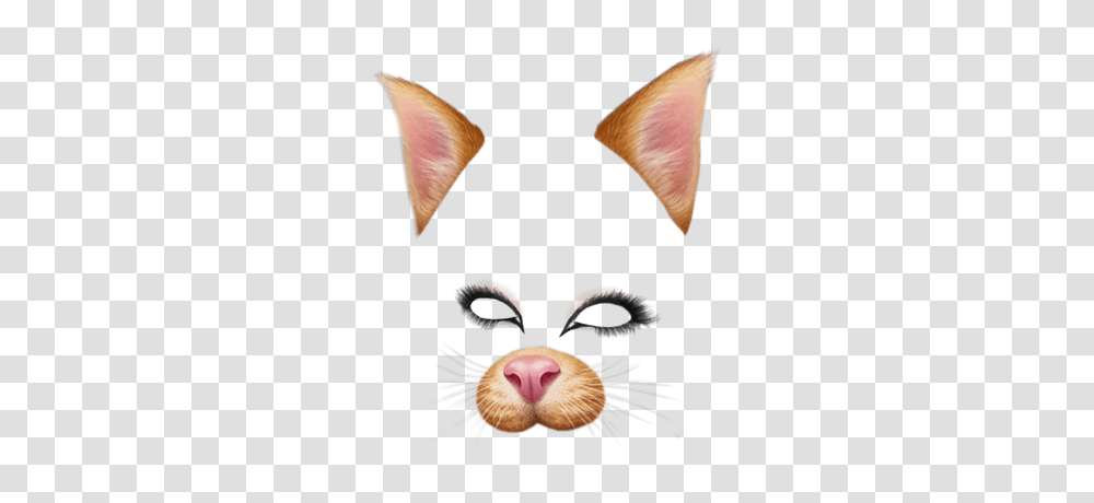 Snapchat Filter Brown Cat, Head, Mouth, Lip, Mask Transparent Png