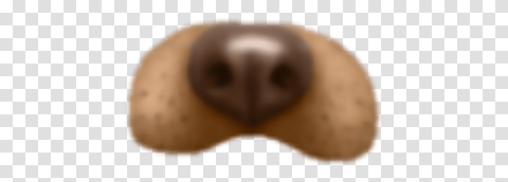Snapchat Filter Dog Snap Chat Doggy Filter, Snout, Mouth, Lip, Skin Transparent Png