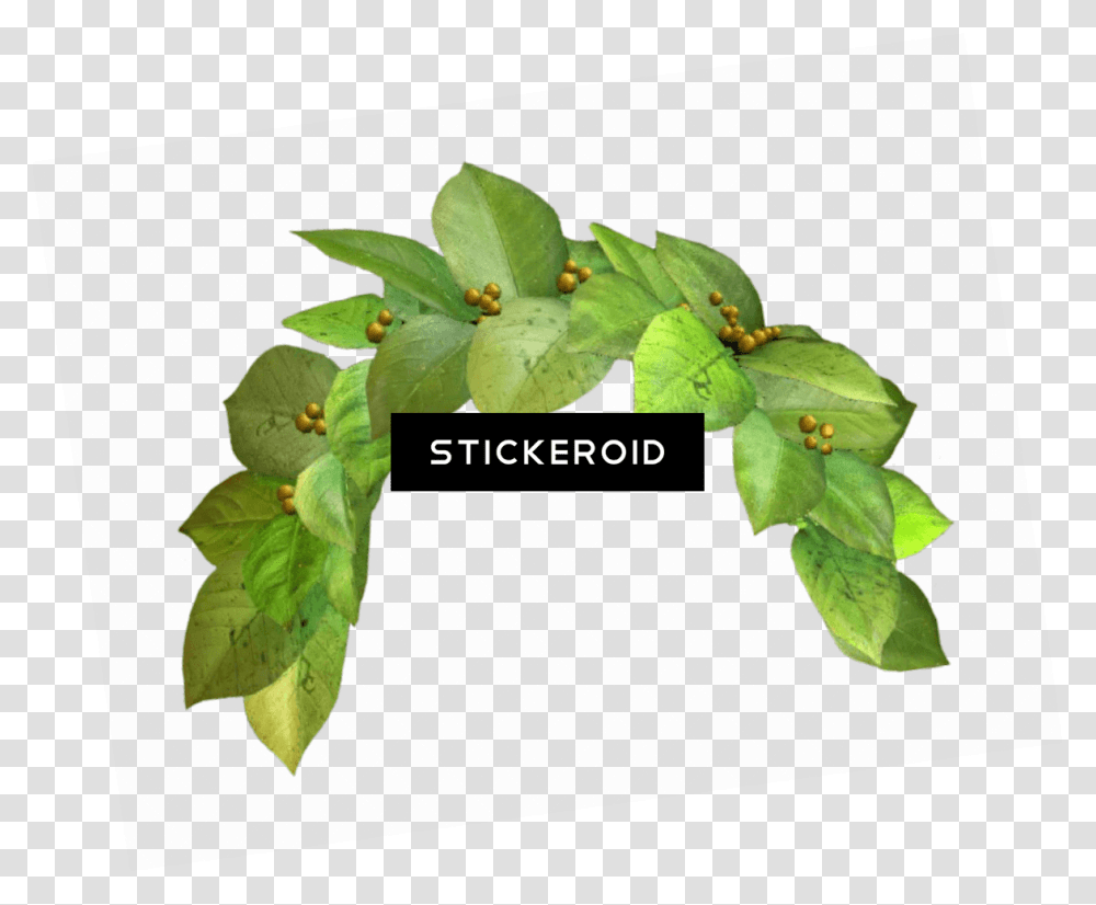 Snapchat Filter Green Crown Flower Crown Green, Leaf, Plant, Tree, Blossom Transparent Png