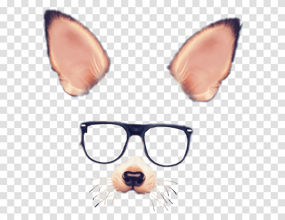 Snapchat Filters Clipart Face Snapchat Filters Cute, Sunglasses, Accessories, Accessory, Animal Transparent Png
